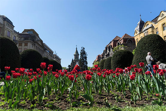 Timisoara p.za Opera