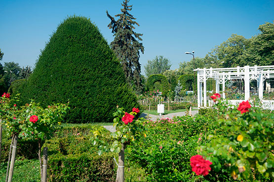 Timisoara parco delle Rose